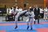 World Karate Federation. Wettkampfregeln Kata und Kumite. Version 8.0 Januar 2013