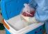 Organmangel als strukturelles Problem der Transplantationsmedizin Alexandra Manzei