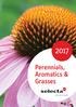 Perennials, Aromatics & Grasses