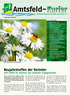 Amtsfeld- Informationsblatt der WBG»Amtsfeld«eG