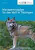 Managementplan für den Wolf in Thüringen