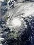 Assessment of typhoon induced wind risk under climate change in Japan