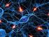Künstliche neuronale Netze