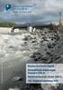 Extremes Hochwasserereignis 2014 in Schangnau: Ereignisanalyse und Planung von Schutzmassnahmen mit Hilfe von numerischen