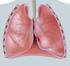 Anatomie und Funktion der Atemwege: