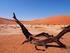 Trekking der Wüste Sahara - Informations-Broschüre zehn Reisetage,