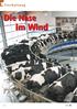 Tierhaltung. Die Nase im Wind