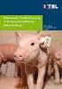 Elektronische Tieridentifizierung in der Schweinehaltung