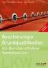 Ralf Brandau (BGF) Handbuch. Ladungssicherung EU-Berufskraftfahrer. Weiterbildung Lkw ÜNF