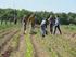 Vereinssatzung Solidarische Landwirtschaft Rote Beete Solawi Hohenlohe e.v.