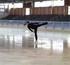 Entwicklung eines energetisch orientierten Anforderungsprofils im Eiskunstlaufen (AZ /10)