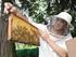 Tipps für Anfänger und Interessierte der Bienenhaltung