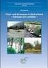 F+E-Vorhaben Zustandsbewertung der Fluss- und Stromauen in Deutschland (Bundesamt für Naturschutz, FKZ ) 2. Zwischenbericht Juli 2008