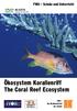 Ökosystem Korallenriff The Coral Reef Ecosystem