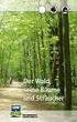 Ein Positionspapier der Schutzgemeinschaft Deutscher Wald, LV Bayern e.v. (Ausführliche Fassung) vom Juli 2002