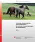 Fütterung, Gruppenhaltung und Sozialkontakte die zentralen Herausforderungen der Pferdehaltung. Tiere Agroscope Transfer Nr. 36 / September 2014