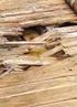 in Holzbauweise Schäden bei flach geneigten Dächern in Holzbauweise Fachgerecht konstruiert? Schadensvermeidung, wie? Neue DIN (Holzschutz)
