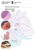 Krebsregister der Kantone Zürich und Zug. Jahresbericht 2014