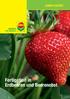 Fertigation in Erdbeeren und Beerenobst
