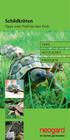 Schildkröten. Tipps vom Profi für den Profi TIPPS NÜTZLICHES PRODUKTE