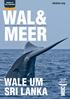 { whales.org } Updates von Ihren Patentieren. Nachrichten von WDC, Whale and Dolphin Conservation Frühling 2013 Nr. 2 WALE UM SRI LANKA