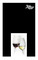 Champagner J. de Telmont brut Champagne, Frankreich. Prosecco Spumante VSAQ Vino Spumante Aromatica di Qualità Extra Dry