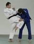 Judo Ein kurzer Überblick