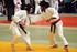 Deutsche Hochschulmeisterschaft Judo 2013
