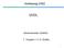 Vorlesung IHS2 VHDL. Wintersemester 2008/09. T. Vangelov / H.-D. Wuttke