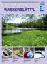 WASSERBLÄTT L. Vogtländisches. Informationszeitung des Zweckverbandes Wasser und Abwasser Vogtland (ZWAV) I/ Jahrgang. Ausstellung Vorschau