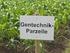Agro-Gentechnik in Deutschland und der Europäischen Union: Aktuelle Entwicklungen und Perspektiven