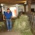 Milchproduktion in Österreich:...wir stellen uns dem Wettbewerb... DI Thomas Resl, MSc. Bundesanstalt für Agrarwirtschaft Marxergasse Wien