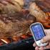 Braten-Grill-Thermometer
