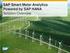 SAP Intelligent Metering for German Energy Utilities ein Erfahrungsbericht