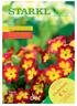 5,- Gutschein. Primerl Primula vulgaris in vielen Farben III-V. Wir schenken Ihnen Farbe für den Frühling