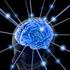 Inhalt. 1 Aufbau des Nervensystems neurologische Erkrankungen Sinnessysteme Schmerz und Schmerzbehandlung VII