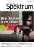 Modulangebote für das Curriculum Schmerz-Psychotherapie in Mainz Spezielle Schmerzpsychotherapie. Erstellungsdatum