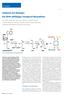 Glutamat auf Abwegen: Die trna-abhängige Tetrapyrrol-Biosynthese