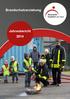 Brandschutzerziehung. Jahresbericht 2014