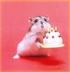 Happy Birthday, Hamster