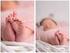Infobroschüre Schwangerschafts- und Babyfotografie
