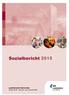 Vorwort. Mit dem Sozialbericht möchte der Landkreis Karlsruhe Anstöße für eine gute kommunale Angebotsstruktur im gesamten Sozialbereich geben.
