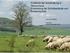 Probleme der Schafhaltung in Deutschland Entwicklung der Schafbestände und Problemaufriss