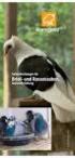 Tauben. Tierschutzgesetzgebung