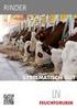 Witterungsschutz bei der dauernden Haltung von Rindern im Freien