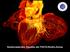 Kardiovaskuläre Aspekte der FGF23-Klotho Achse