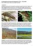 Ornithologischer Reisebericht Madagaskar Helmut Laußmann (Text) & Ingetraut Kühn (Fotos), Deutschland