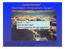 Coelenteraten - Paläontologisch-Stratigraphische Übungen I. Block 1 - Teil 1 Was ist denn das? Warum brauchen wir das eigentlich?
