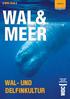 { WDC Kids } whales.org. Nachrichten von WDC, Whale and Dolphin Conservation Nr. 2/2017 WAL- UND DELFINKULTUR