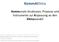 KommAKlima. Kommunale Strukturen, Prozesse und Instrumente zur Anpassung an den Klimawandel